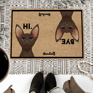 Pet Cat Hi and Bye Funny Doormat - Personalized Doormat - Birthday, Housewarming, Funny Gift for Homeowners, Friends, Dog Mom, Dog Dad, Dog Lovers, Pet Gifts for Him, Her - Suzitee Store
