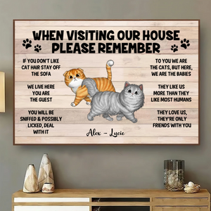 Please Remember When Visiting Cats House - Personalized Horizontal Poster - Gift for Cat Lovers, Pet Lovers, Cat Mom, Cat Dad