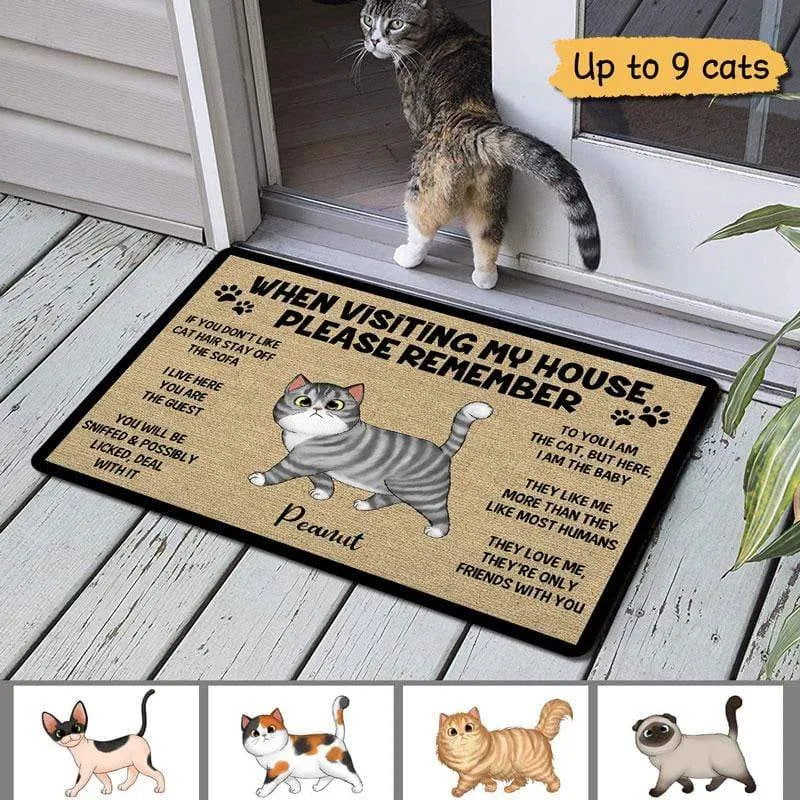 PleaseRememberWhenVisitingCatsHouse-PersonalizedDoormat-PersonalizedGiftforCatLovers,PetLovers,CatMom,CatDad