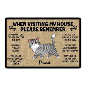 Please Remember When Visiting Cats House - Personalized Doormat - Personalized Gift for Cat Lovers, Pet Lovers, Cat Mom, Cat Dad