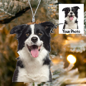 Personalized Dog Photo Ornament, Christmas Gifts, Memorial Gifts, Dog Lover Gifts, Pet Owner Gifts, Custom Christmas Picture Ornament