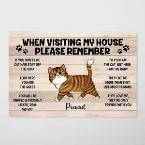 Please Remember When Visiting Cats House - Personalized Horizontal Poster - Gift for Cat Lovers, Pet Lovers, Cat Mom, Cat Dad